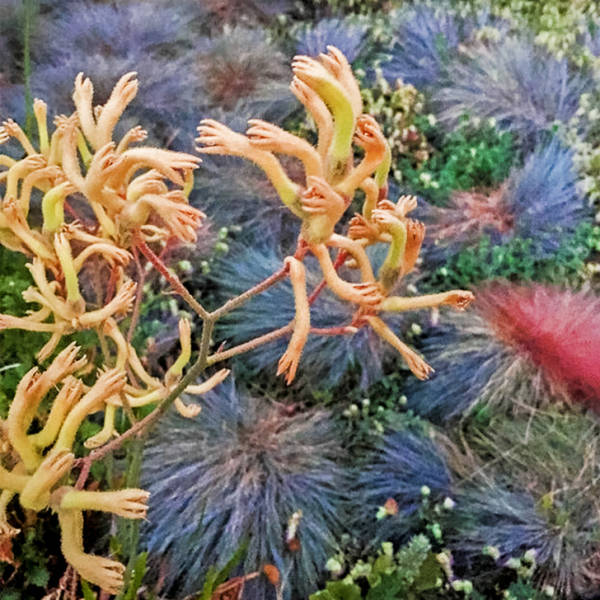 Are Your Eyes Playing Tricks On You?