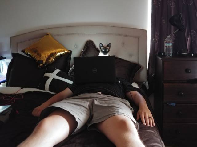 Are Your Eyes Playing Tricks On You?