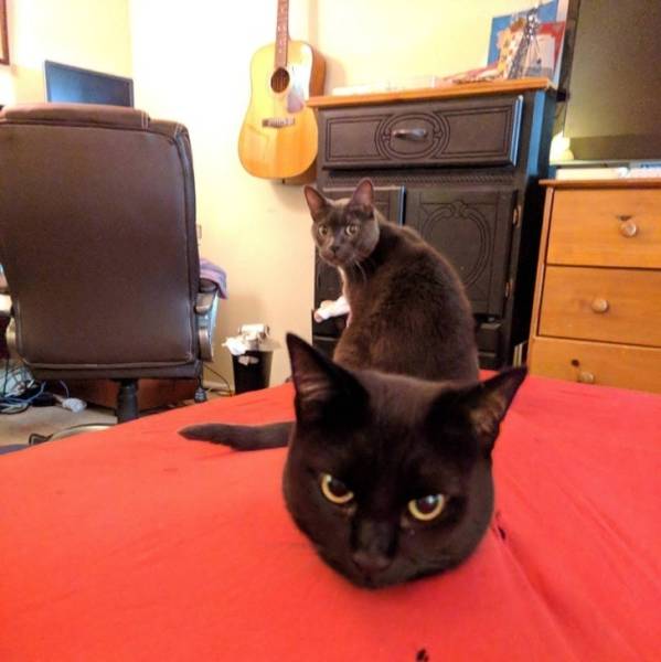 Are Your Eyes Playing Tricks On You?