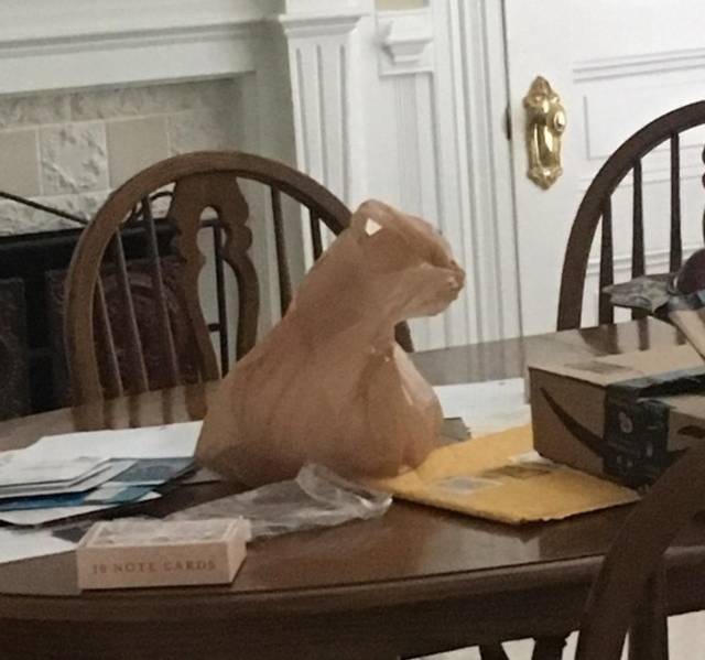 Are Your Eyes Playing Tricks On You?