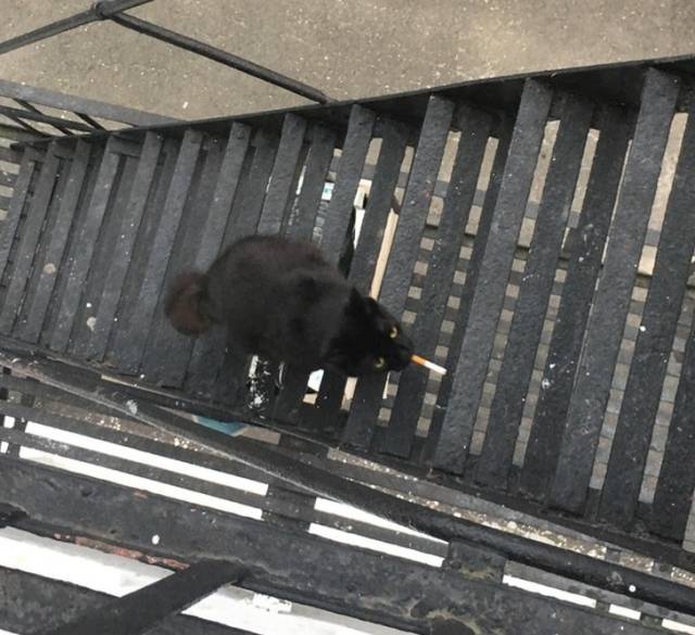 Are Your Eyes Playing Tricks On You?