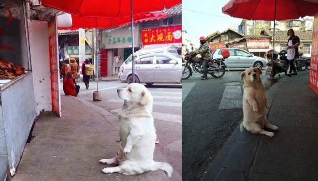 daily picdump 91 pics 15.html - 91 HD Photos | Premium Gallery 2018