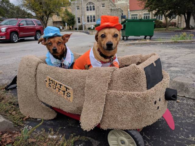 daily picdump 91 pics 15.html - 91 HD Photos | Premium Gallery 2018