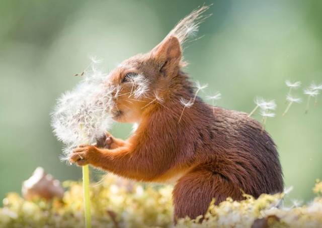 daily picdump 91 pics 15.html - 91 HD Photos | Premium Gallery 2018