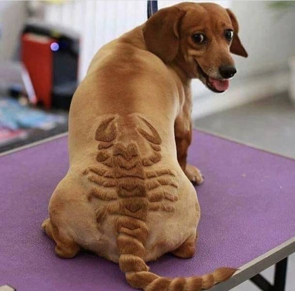 daily picdump 91 pics 15.html - 91 HD Photos | Premium Gallery 2018