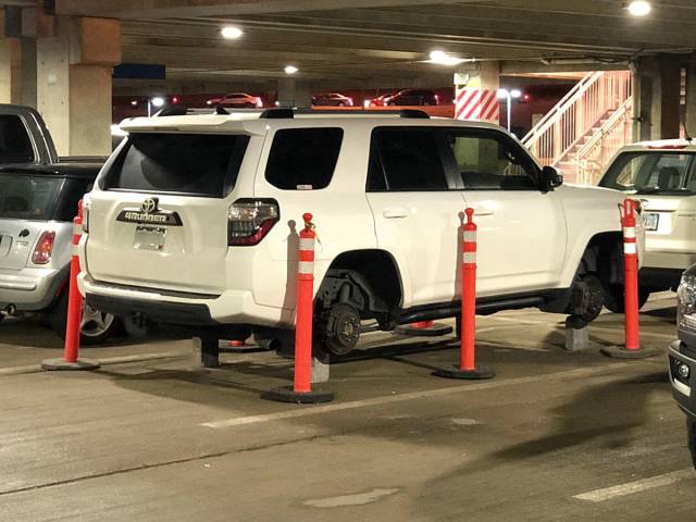 daily picdump 91 pics 15.html - 91 HD Photos | Premium Gallery 2018