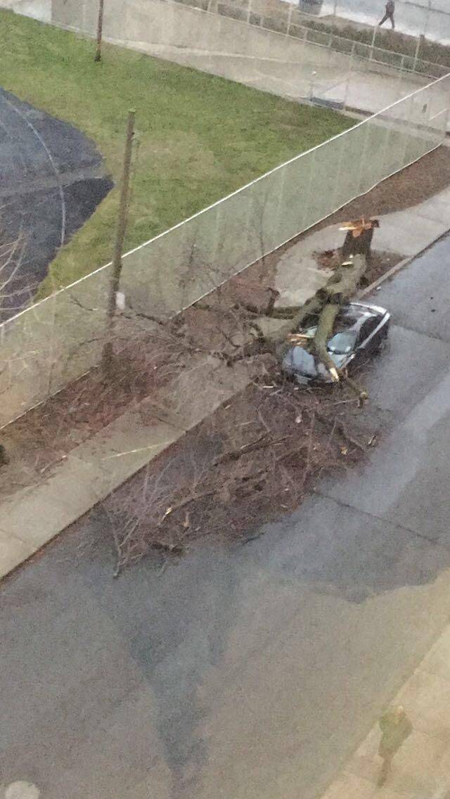 daily picdump 91 pics 15.html - 91 HD Photos | Premium Gallery 2018