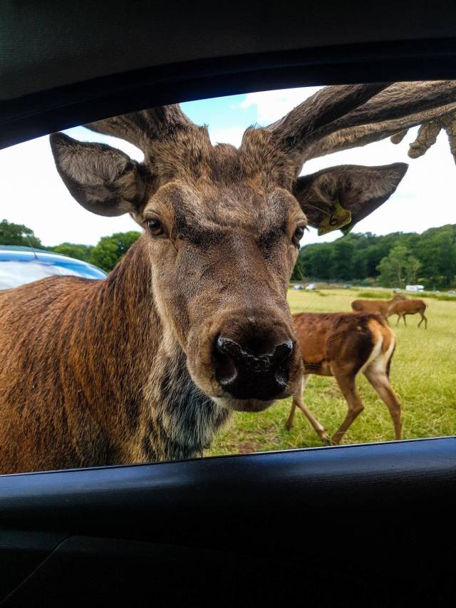 daily picdump 91 pics 15.html - 91 HD Photos | Premium Gallery 2018