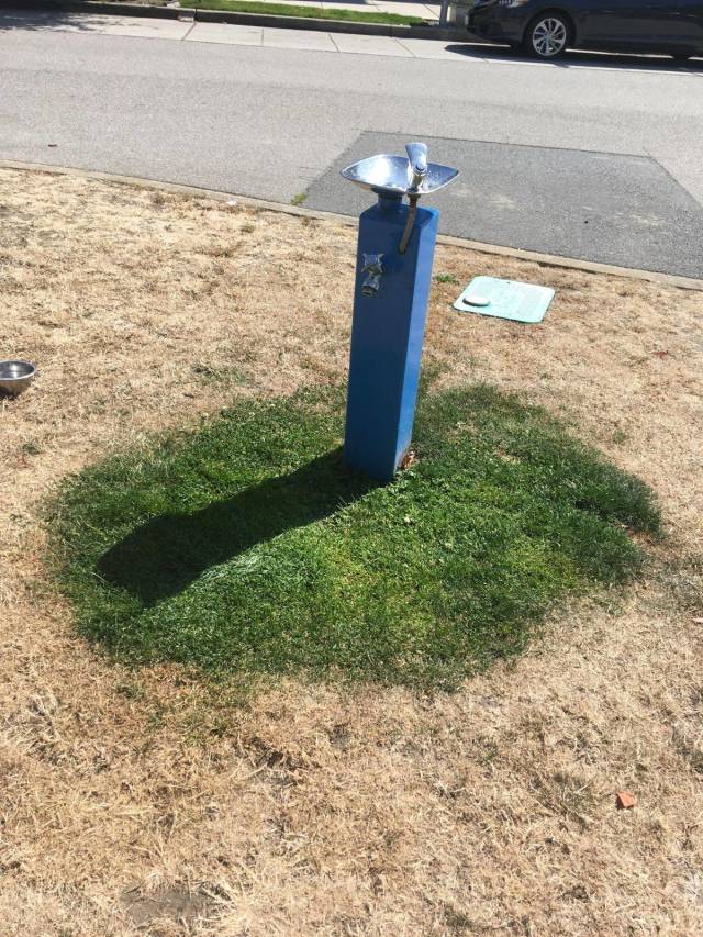 daily picdump 91 pics 15.html - 91 HD Photos | Premium Gallery 2018