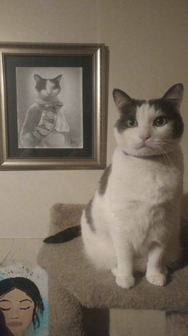 daily picdump 91 pics 15.html - 91 HD Photos | Premium Gallery 2018