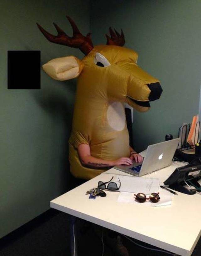 Hard-to-explain WTF Photos