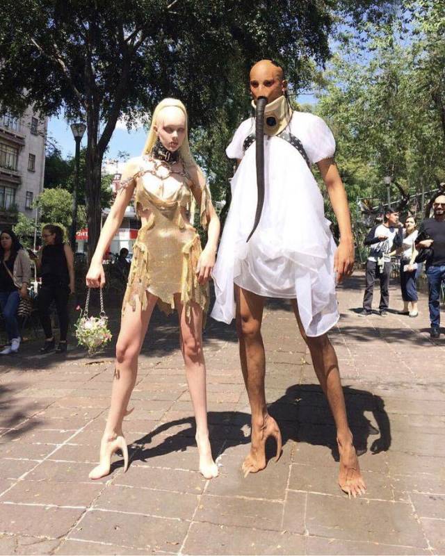 Hard-to-explain WTF Photos