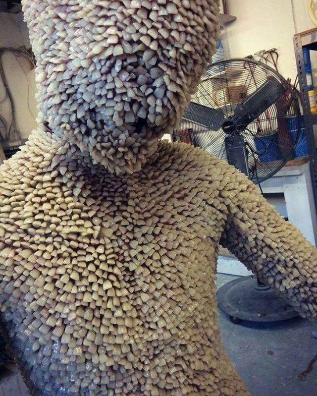 Hard-to-explain WTF Photos