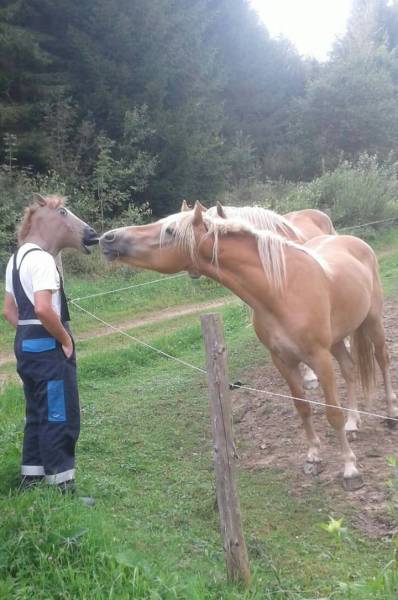 morning picdump 51 pics 44.html - 51 HD Photos | Premium Gallery 2018