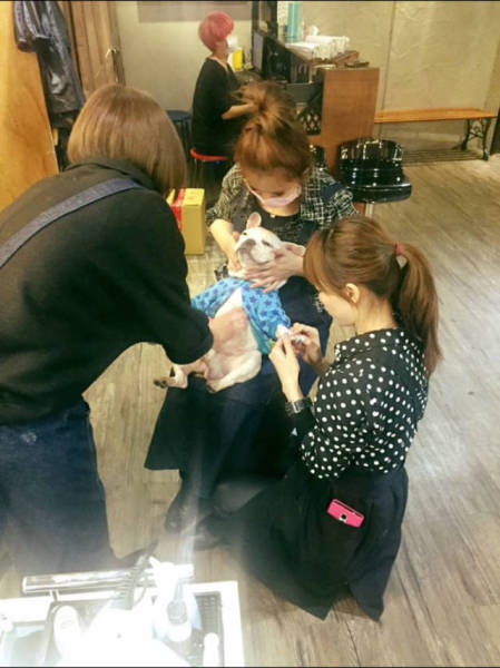 morning picdump 51 pics 44.html - 51 HD Photos | Premium Gallery 2018