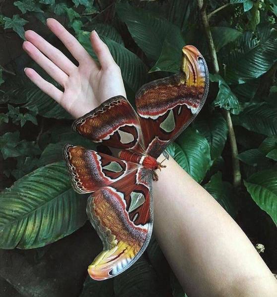 morning picdump 51 pics 44.html - 51 HD Photos | Premium Gallery 2018