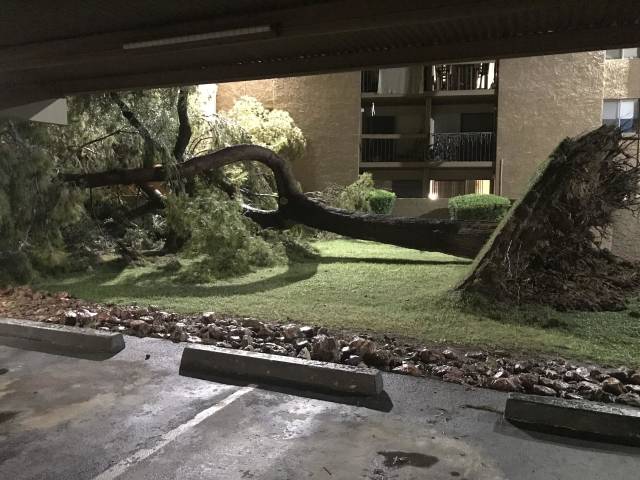 morning picdump 51 pics 44.html - 51 HD Photos | Premium Gallery 2018