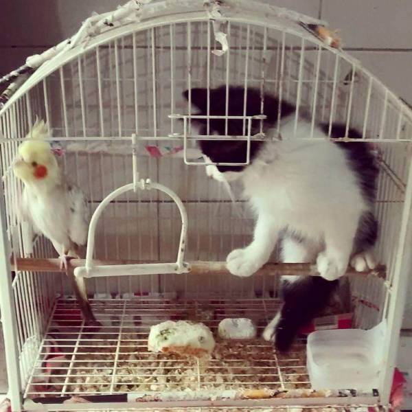 daily picdump 99 pics 2.html - 99 HD Photos | Premium Gallery 2018