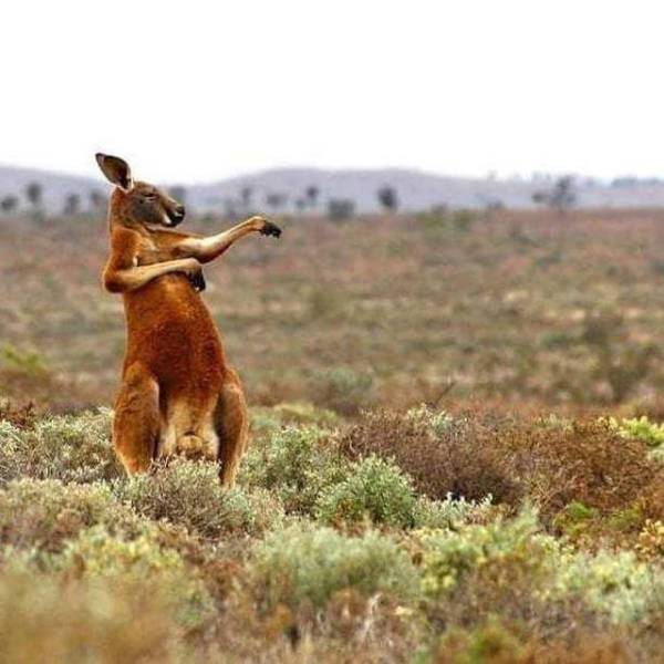 daily picdump 99 pics 2.html - 99 HD Photos | Premium Gallery 2018