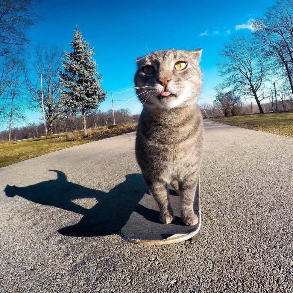 daily picdump 99 pics 2.html - 99 HD Photos | Premium Gallery 2018