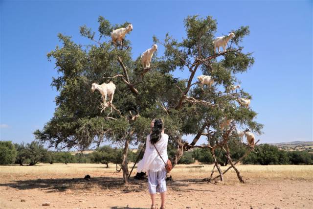 daily picdump 99 pics 2.html - 99 HD Photos | Premium Gallery 2018