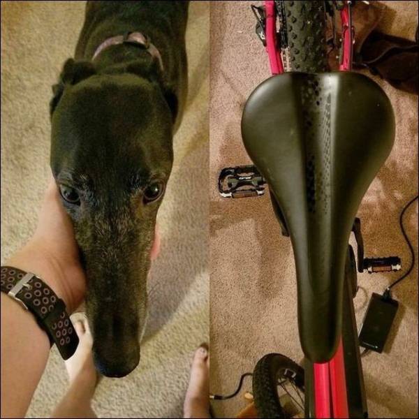 daily picdump 99 pics 2.html - 99 HD Photos | Premium Gallery 2018