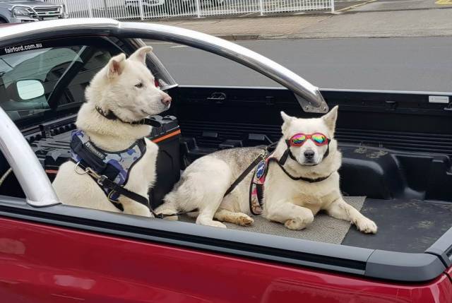 daily picdump 99 pics 2.html - 99 HD Photos | Premium Gallery 2018