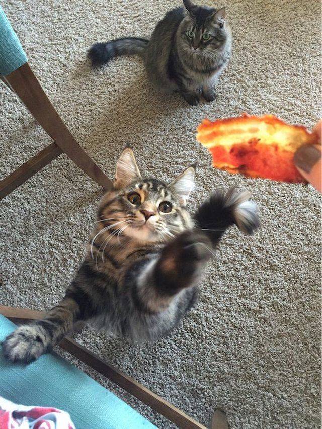 daily picdump 99 pics 2.html - 99 HD Photos | Premium Gallery 2018