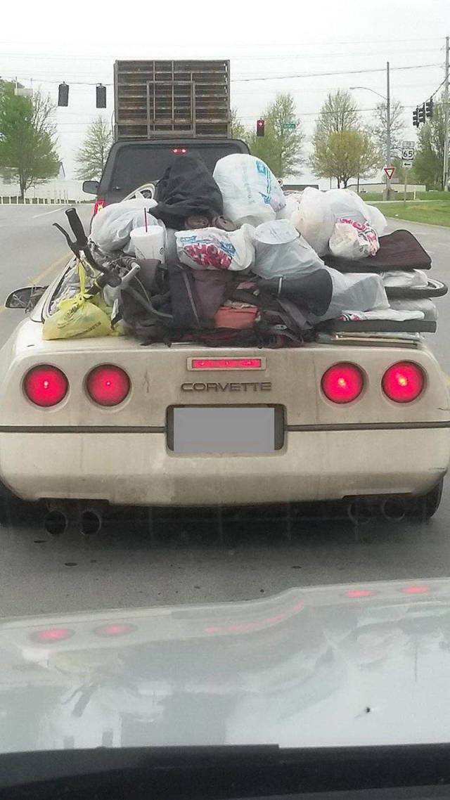 daily picdump 99 pics 2.html - 99 HD Photos | Premium Gallery 2018