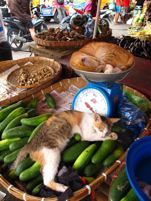 daily picdump 99 pics 2.html - 99 HD Photos | Premium Gallery 2018