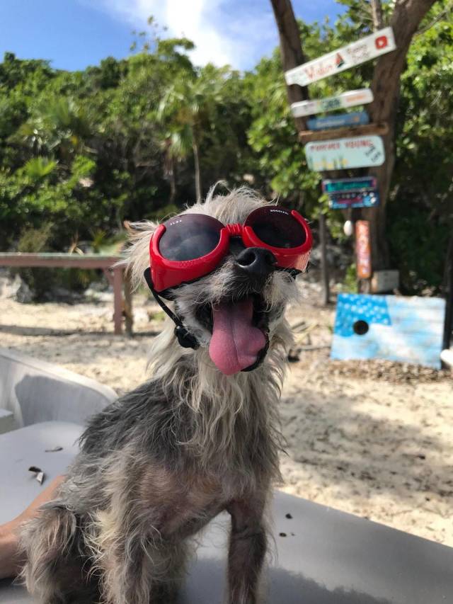 daily picdump 99 pics 2.html - 99 HD Photos | Premium Gallery 2018