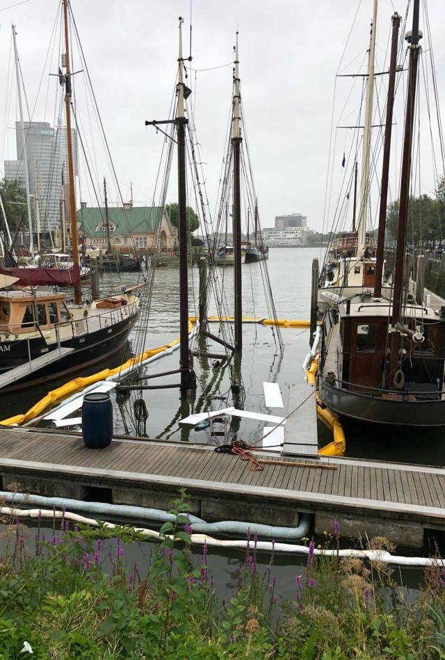 daily picdump 99 pics 2.html - 99 HD Photos | Premium Gallery 2018