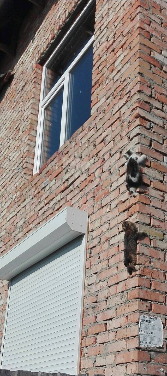 daily picdump 99 pics 2.html - 99 HD Photos | Premium Gallery 2018