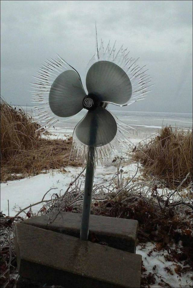 daily picdump 99 pics 2.html - 99 HD Photos | Premium Gallery 2018