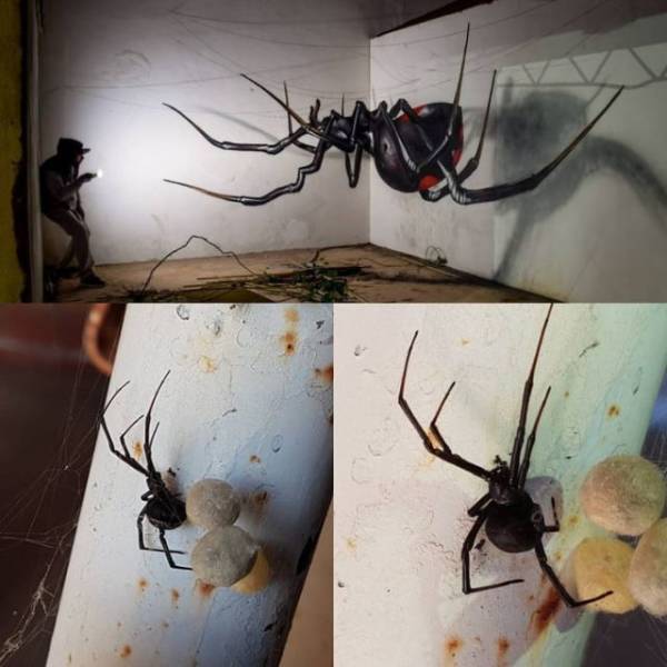 Street Art That Almost Looks Real