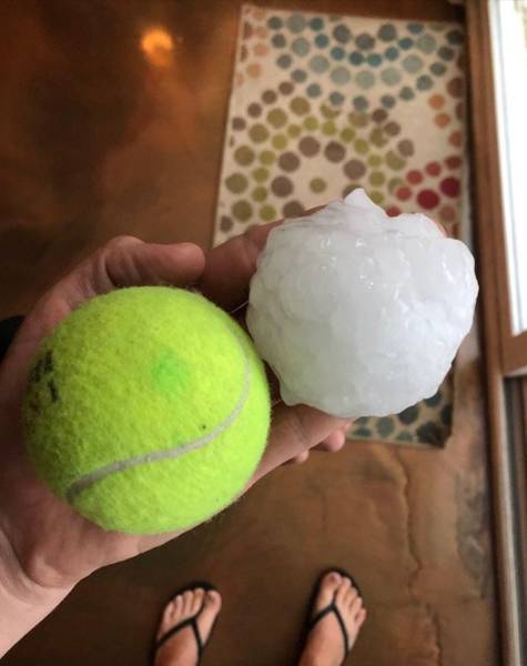 Daily Picdump [WEEKEND EDITION]