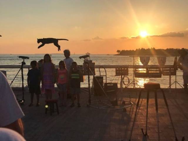 Daily Picdump [WEEKEND EDITION]