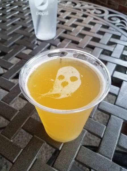 daily picdump weekend edition 51 pics 8.html - 51 HD Photos | Premium Gallery 2018