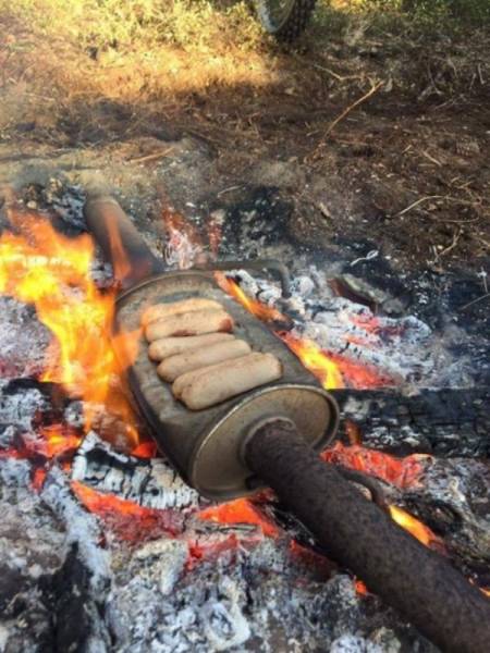 daily picdump weekend edition 51 pics 8.html - 51 HD Photos | Premium Gallery 2018