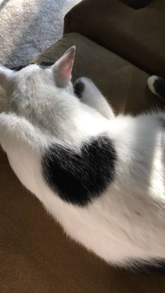 daily picdump weekend edition 51 pics 8.html - 51 HD Photos | Premium Gallery 2018