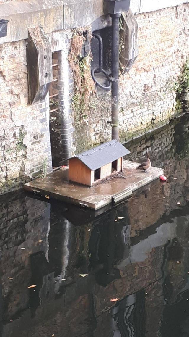 daily picdump weekend edition 51 pics 8.html - 51 HD Photos | Premium Gallery 2018