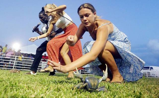 daily picdump 84 pics 39.html - 84 HD Photos | Premium Gallery 2018