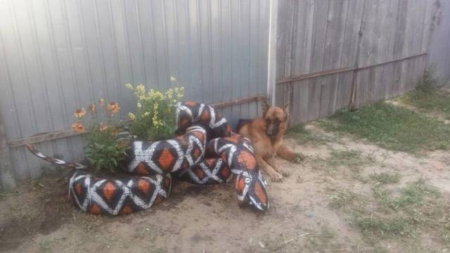 daily picdump 84 pics 39.html - 84 HD Photos | Premium Gallery 2018