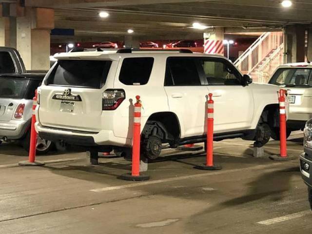 daily picdump 84 pics 39.html - 84 HD Photos | Premium Gallery 2018