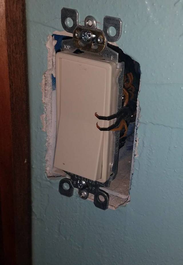 daily picdump 84 pics 39.html - 84 HD Photos | Premium Gallery 2018