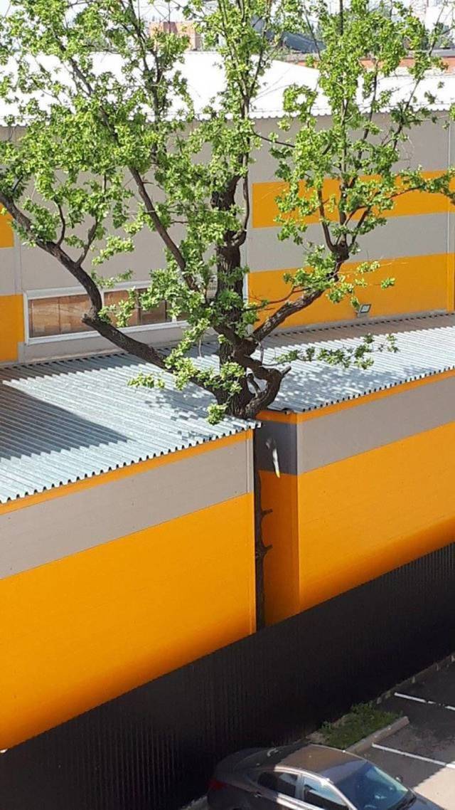 daily picdump 84 pics 39.html - 84 HD Photos | Premium Gallery 2018