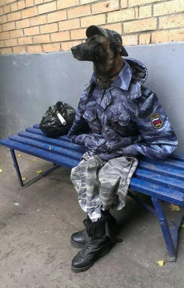 daily picdump 84 pics 39.html - 84 HD Photos | Premium Gallery 2018