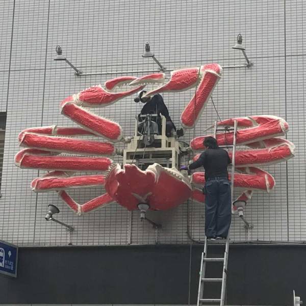 daily picdump 84 pics 1.html - 84 HD Photos | Premium Gallery 2018