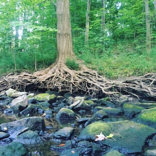 daily picdump 84 pics 1.html - 84 HD Photos | Premium Gallery 2018