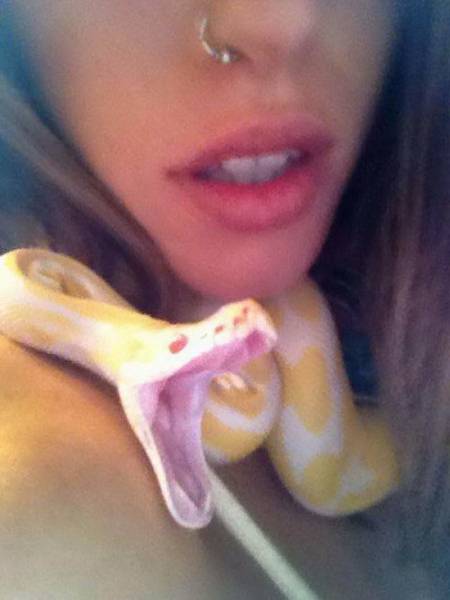 daily picdump 84 pics 1.html - 84 HD Photos | Premium Gallery 2018